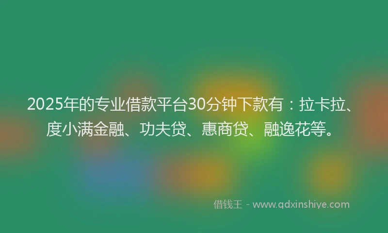 2025年的专业借款平台30分钟下款有：拉卡拉、度小满金融、功夫贷、惠商贷、融逸花等。