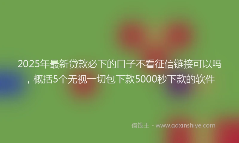 2025年最新贷款必下的口子不看征信链接可以吗，概括5个无视一切包下款5000秒下款的软件