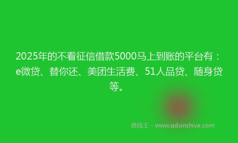 2025年的不看征信借款5000马上到账的平台有：e微贷、替你还、美团生活费、51人品贷、随身贷等。