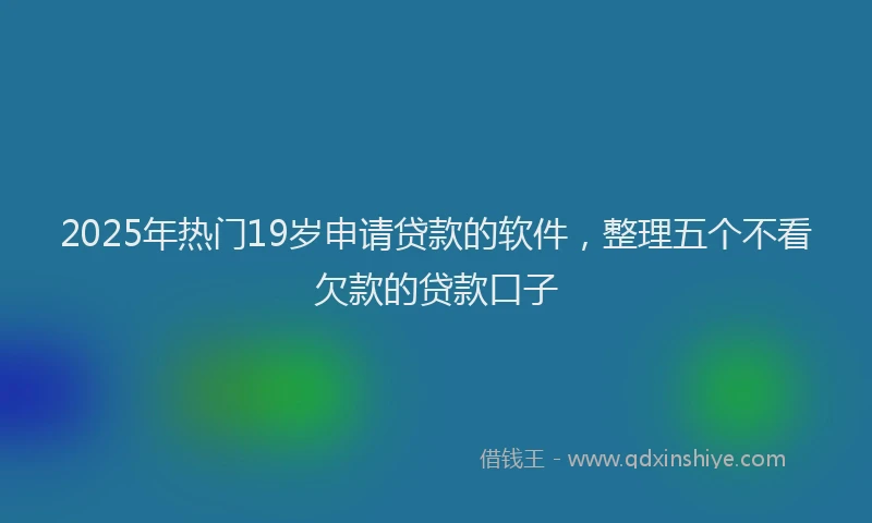2025年热门19岁申请贷款的软件，整理五个不看欠款的贷款口子