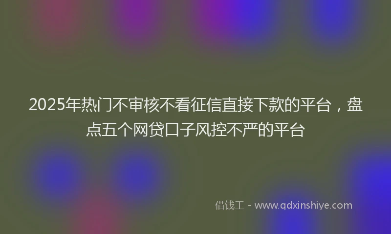 2025年热门不审核不看征信直接下款的平台，盘点五个网贷口子风控不严的平台