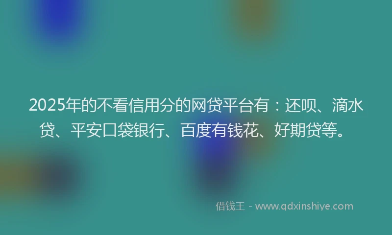 2025年的不看信用分的网贷平台有：还呗、滴水贷、平安口袋银行、百度有钱花、好期贷等。