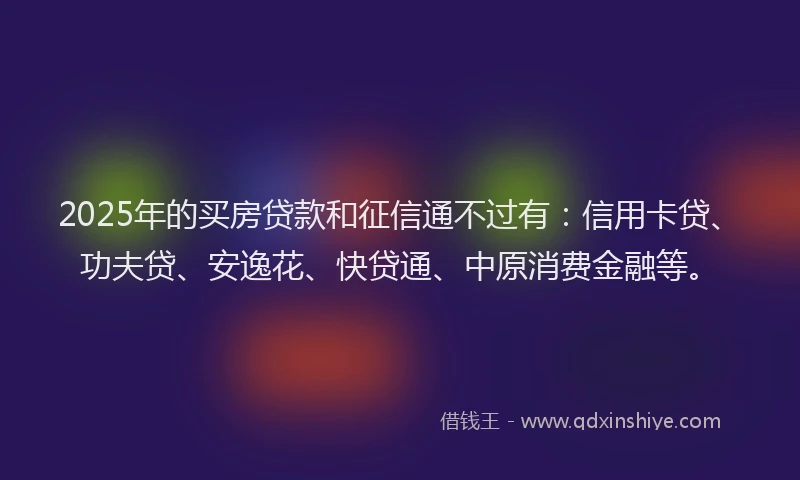 2025年的买房贷款和征信通不过有：信用卡贷、功夫贷、安逸花、快贷通、中原消费金融等。