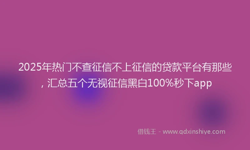 2025年热门不查征信不上征信的贷款平台有那些，汇总五个无视征信黑白100%秒下app