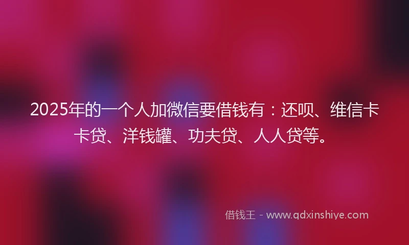 2025年的一个人加微信要借钱有：还呗、维信卡卡贷、洋钱罐、功夫贷、人人贷等。