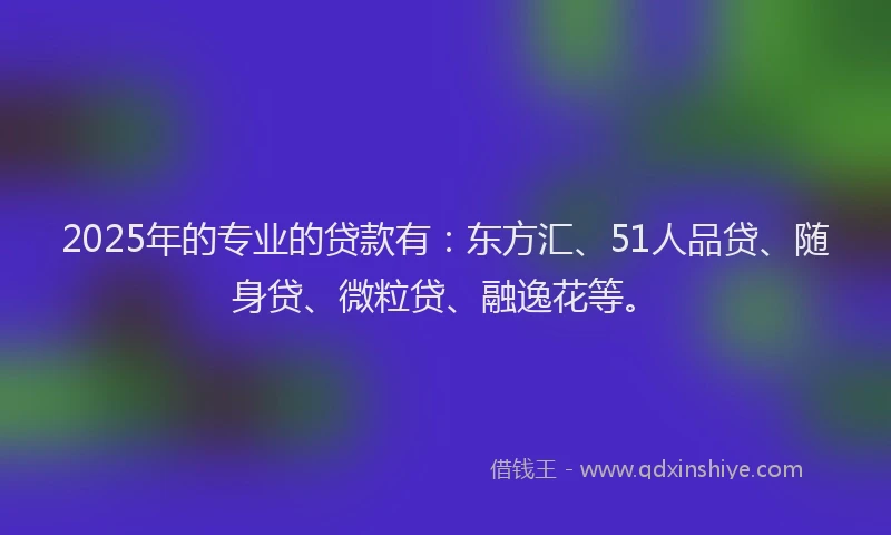 2025年的专业的贷款有：东方汇、51人品贷、随身贷、微粒贷、融逸花等。