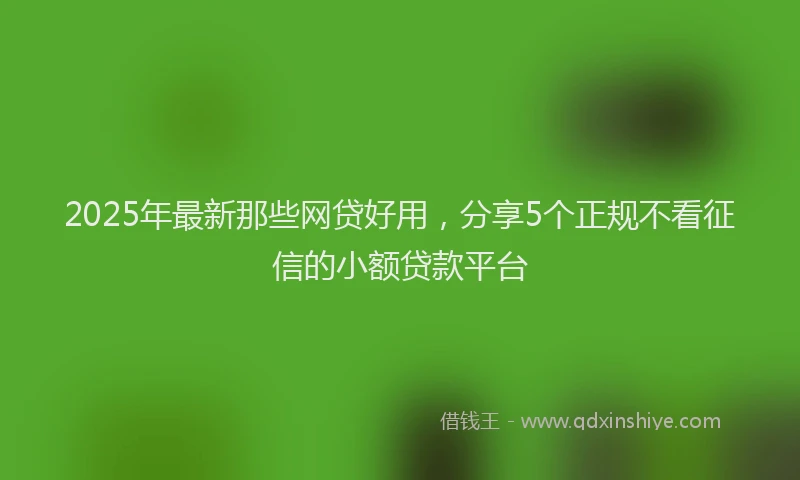 2025年最新那些网贷好用，分享5个正规不看征信的小额贷款平台