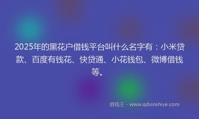 2025年的黑花户借钱平台叫什么名字有：小米贷款、百度有钱花、快贷通、小花钱包、微博借钱等。