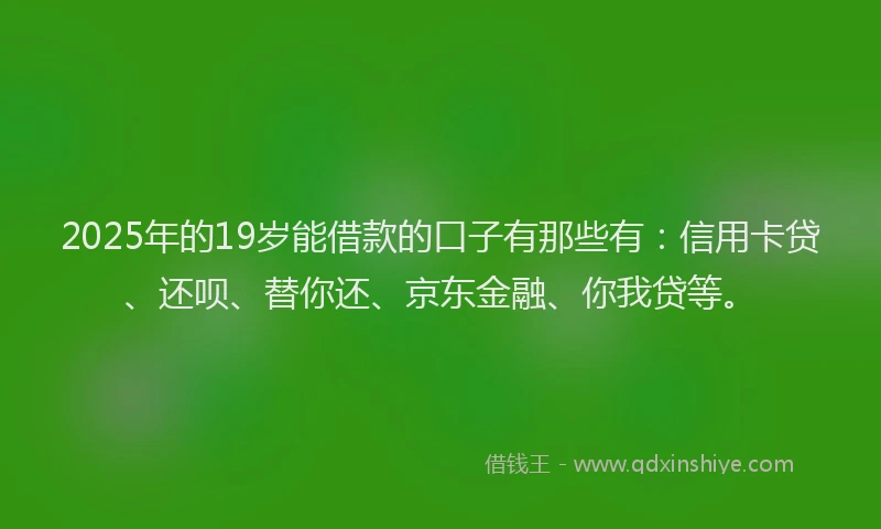 2025年的19岁能借款的口子有那些有：信用卡贷、还呗、替你还、京东金融、你我贷等。