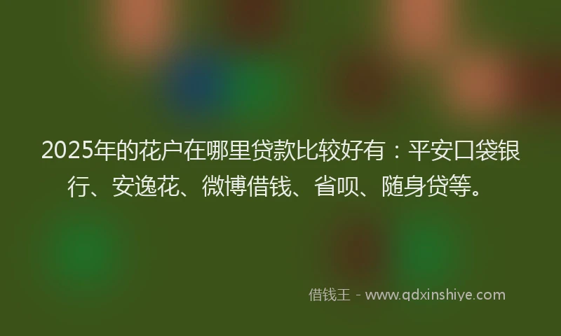 2025年的花户在哪里贷款比较好有：平安口袋银行、安逸花、微博借钱、省呗、随身贷等。