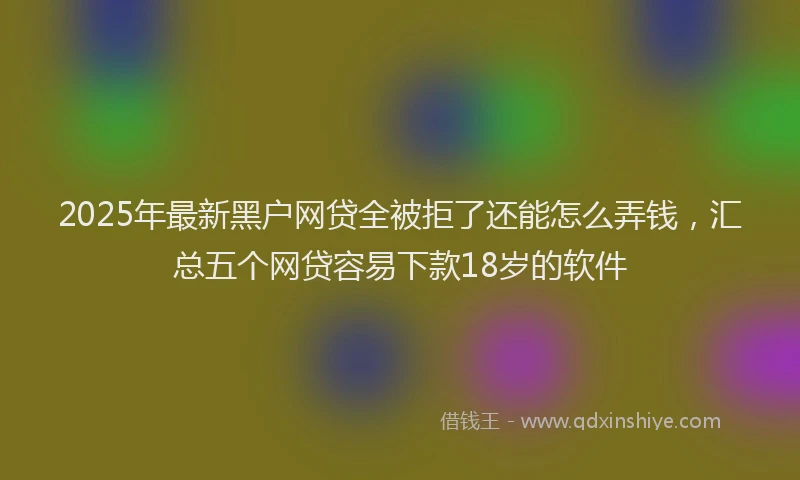 2025年最新黑户网贷全被拒了还能怎么弄钱，汇总五个网贷容易下款18岁的软件