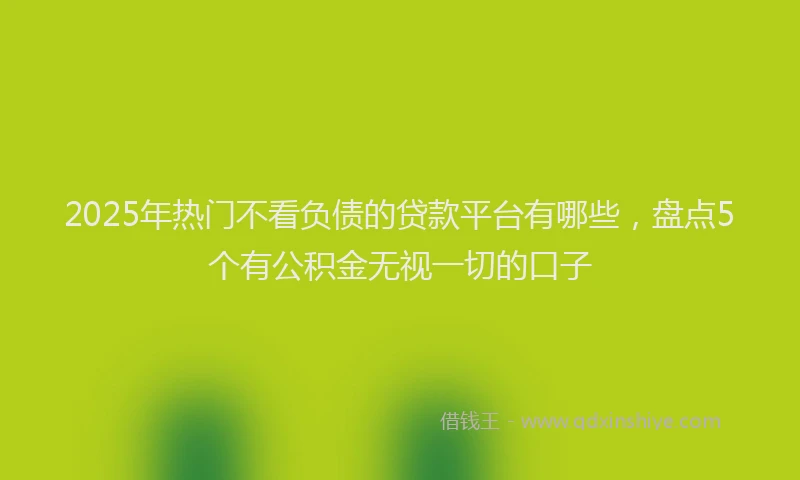 2025年热门不看负债的贷款平台有哪些，盘点5个有公积金无视一切的口子