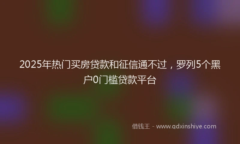 2025年热门买房贷款和征信通不过，罗列5个黑户0门槛贷款平台
