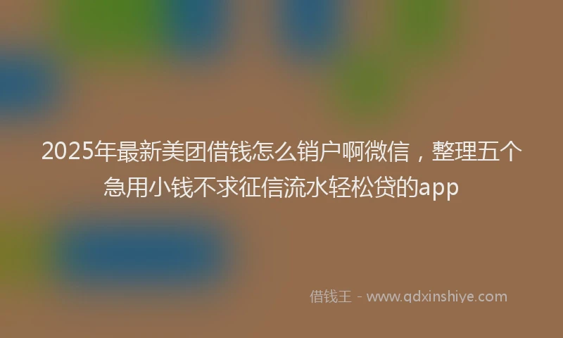 2025年最新美团借钱怎么销户啊微信，整理五个急用小钱不求征信流水轻松贷的app
