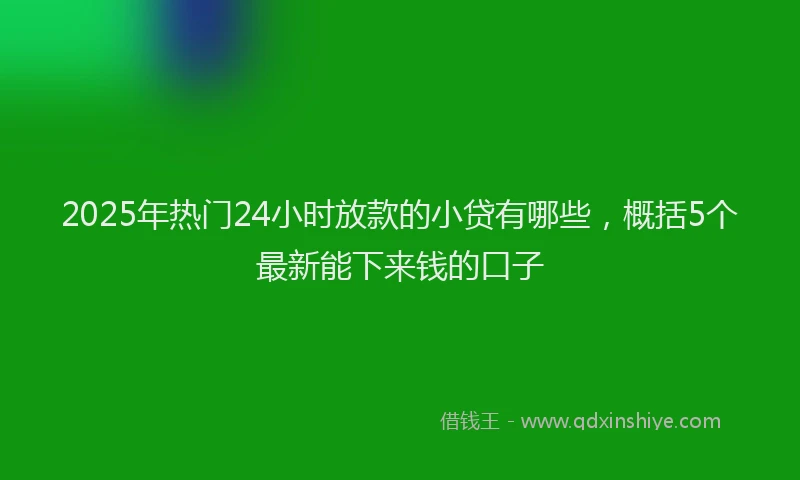 2025年热门24小时放款的小贷有哪些，概括5个最新能下来钱的口子