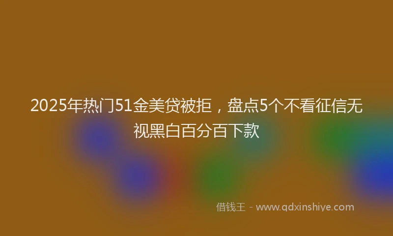 2025年热门51金美贷被拒，盘点5个不看征信无视黑白百分百下款