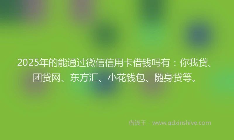 2025年的能通过微信信用卡借钱吗有：你我贷、团贷网、东方汇、小花钱包、随身贷等。