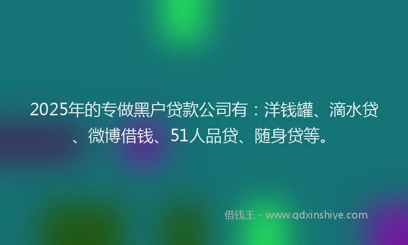 2025年的专做黑户贷款公司有：洋钱罐、滴水贷、微博借钱、51人品贷、随身贷等。