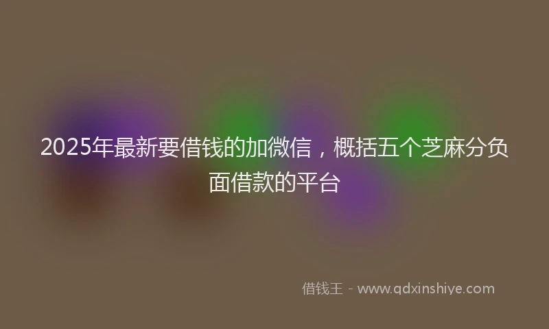 2025年最新要借钱的加微信，概括五个芝麻分负面借款的平台