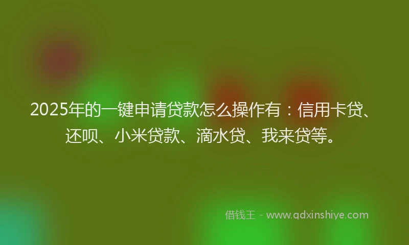 2025年的一键申请贷款怎么操作有：信用卡贷、还呗、小米贷款、滴水贷、我来贷等。