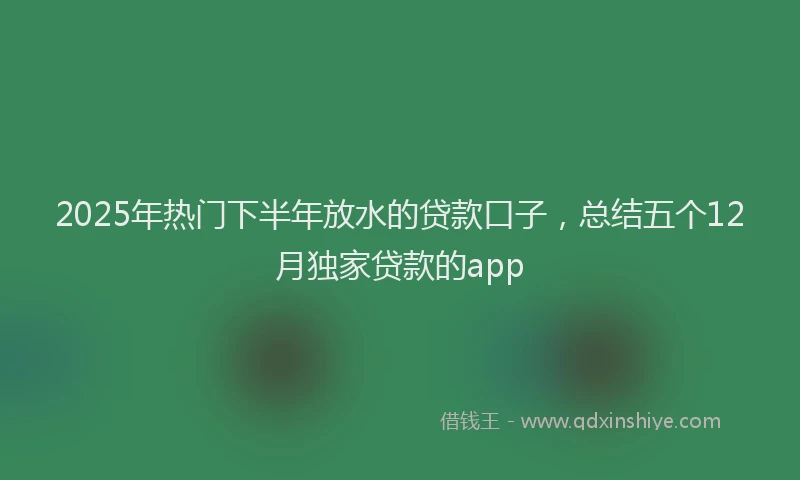 2025年热门下半年放水的贷款口子，总结五个12月独家贷款的app