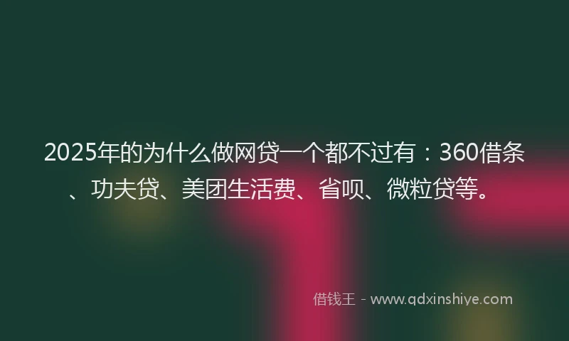 2025年的为什么做网贷一个都不过有：360借条、功夫贷、美团生活费、省呗、微粒贷等。