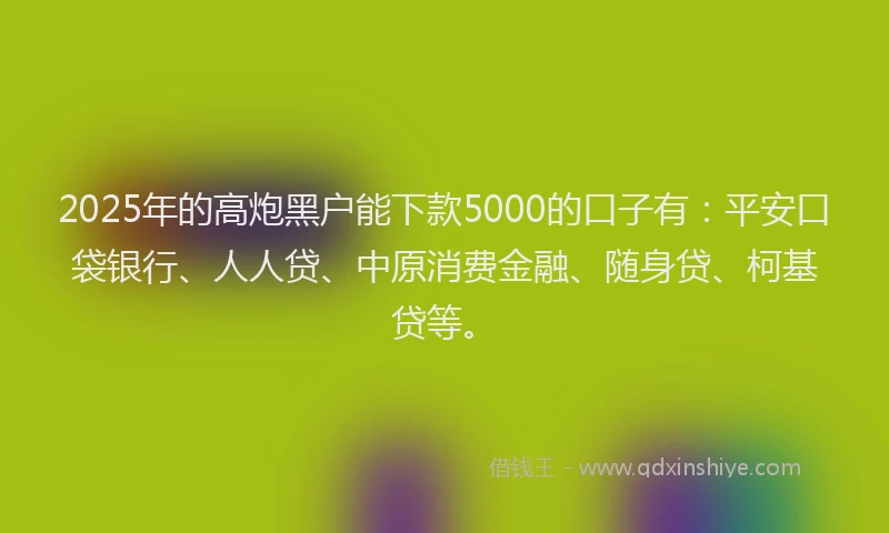 2025年的高炮黑户能下款5000的口子有：平安口袋银行、人人贷、中原消费金融、随身贷、柯基贷等。