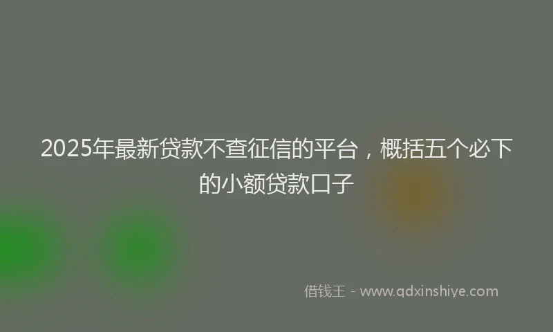 2025年最新贷款不查征信的平台，概括五个必下的小额贷款口子