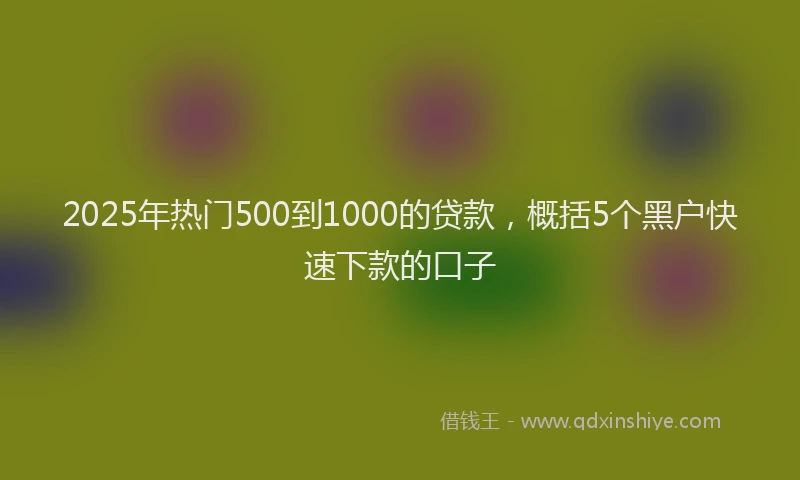 2025年热门500到1000的贷款，概括5个黑户快速下款的口子