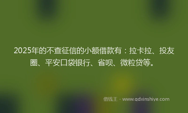 2025年的不查征信的小额借款有：拉卡拉、投友圈、平安口袋银行、省呗、微粒贷等。