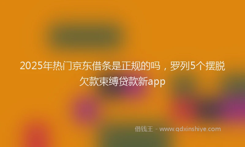 2025年热门京东借条是正规的吗，罗列5个摆脱欠款束缚贷款新app
