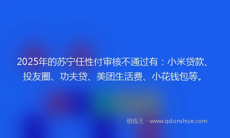 2025年的苏宁任性付审核不通过有：小米贷款、投友圈、功夫贷、美团生活费、小花钱包等。
