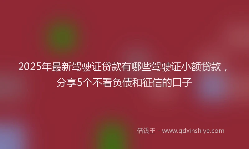 2025年最新驾驶证贷款有哪些驾驶证小额贷款，分享5个不看负债和征信的口子