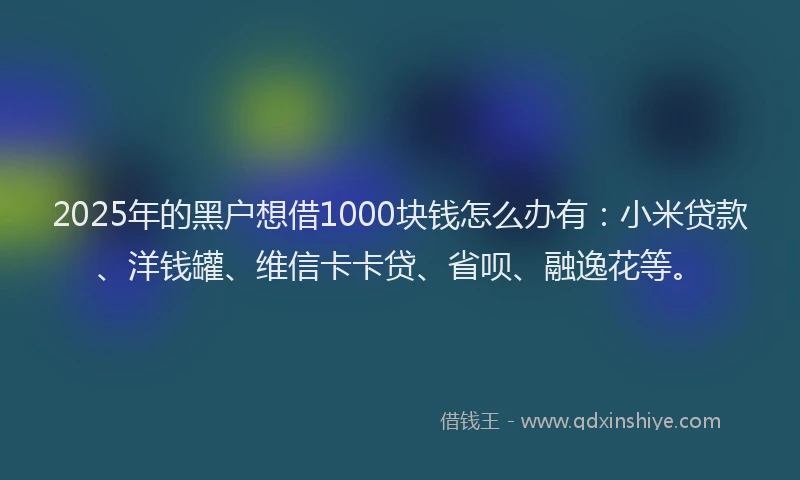 2025年的黑户想借1000块钱怎么办有：小米贷款、洋钱罐、维信卡卡贷、省呗、融逸花等。