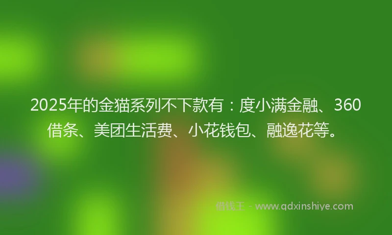 2025年的金猫系列不下款有：度小满金融、360借条、美团生活费、小花钱包、融逸花等。