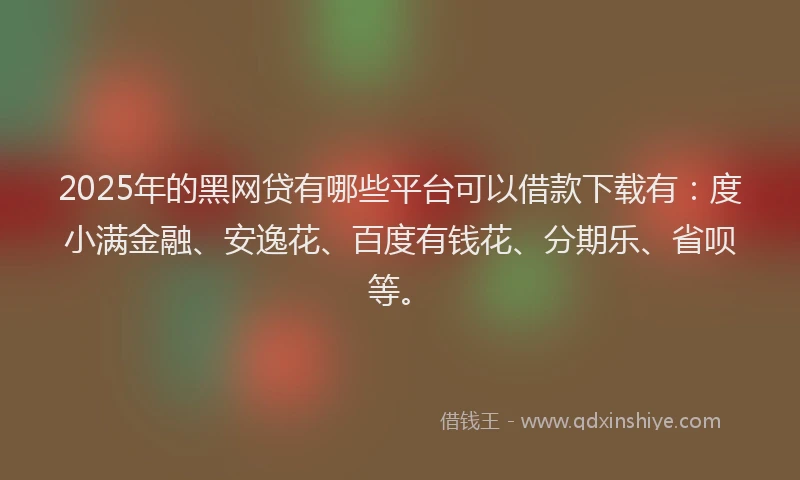 2025年的黑网贷有哪些平台可以借款下载有：度小满金融、安逸花、百度有钱花、分期乐、省呗等。