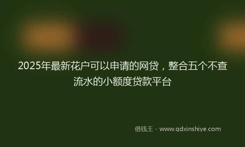 2025年最新花户可以申请的网贷，整合五个不查流水的小额度贷款平台
