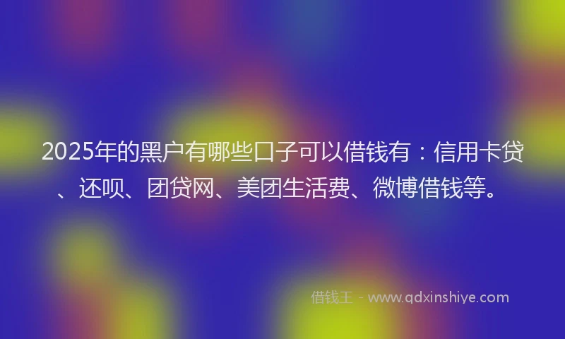 2025年的黑户有哪些口子可以借钱有：信用卡贷、还呗、团贷网、美团生活费、微博借钱等。