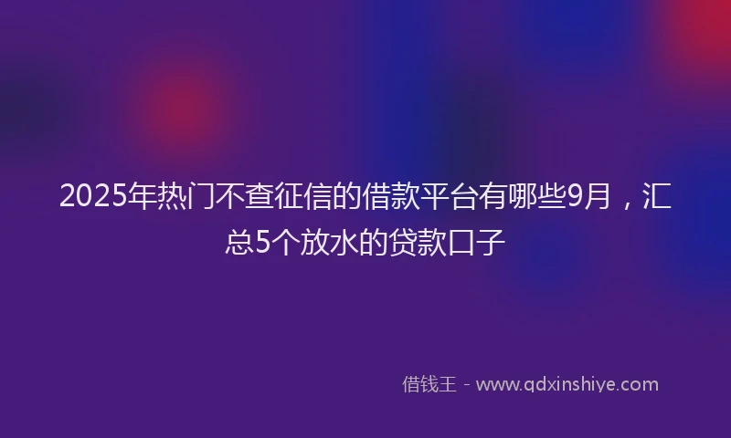 2025年热门不查征信的借款平台有哪些9月，汇总5个放水的贷款口子