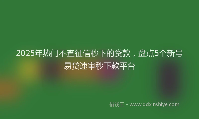 2025年热门不查征信秒下的贷款，盘点5个新号易贷速审秒下款平台