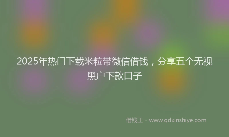 2025年热门下载米粒带微信借钱，分享五个无视黑户下款口子