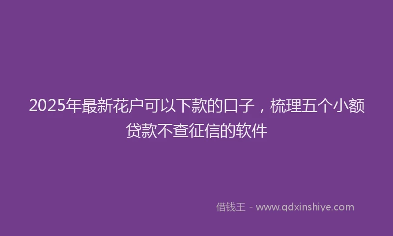 2025年最新花户可以下款的口子，梳理五个小额贷款不查征信的软件