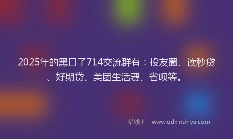 2025年的黑口子714交流群有：投友圈、读秒贷、好期贷、美团生活费、省呗等。