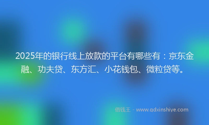 2025年的银行线上放款的平台有哪些有：京东金融、功夫贷、东方汇、小花钱包、微粒贷等。