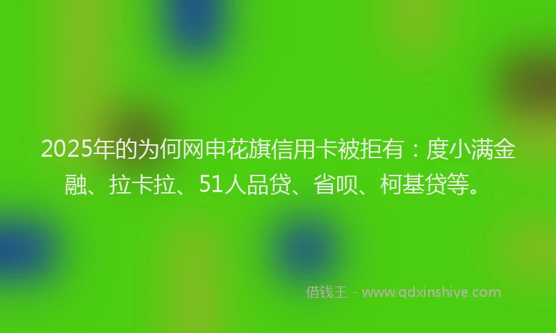 2025年的为何网申花旗信用卡被拒有：度小满金融、拉卡拉、51人品贷、省呗、柯基贷等。