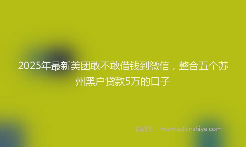 2025年最新美团敢不敢借钱到微信，整合五个苏州黑户贷款5万的口子