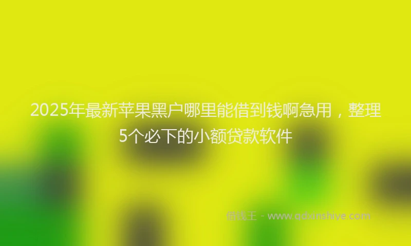 2025年最新苹果黑户哪里能借到钱啊急用，整理5个必下的小额贷款软件