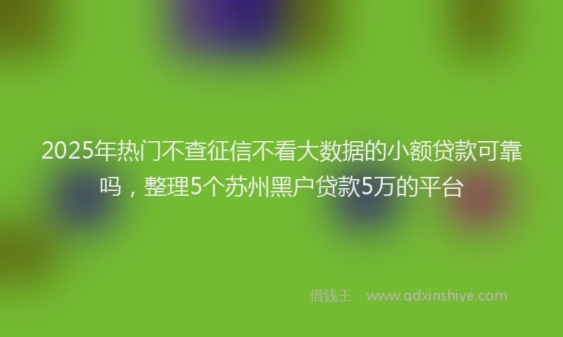 2025年热门不查征信不看大数据的小额贷款可靠吗，整理5个苏州黑户贷款5万的平台