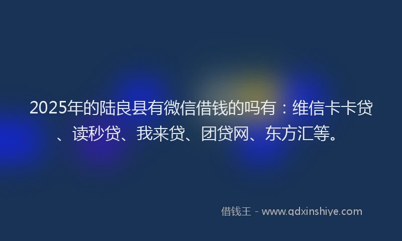 2025年的陆良县有微信借钱的吗有：维信卡卡贷、读秒贷、我来贷、团贷网、东方汇等。