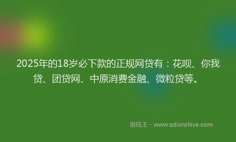 2025年的18岁必下款的正规网贷有：花呗、你我贷、团贷网、中原消费金融、微粒贷等。